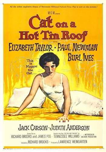 Cat On A Hot Tin Roof [DVD9]