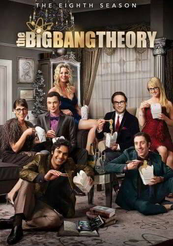 The Big Bang Theory: Season 8 [DVD9]