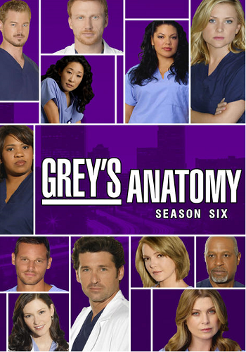 Grey’s Anatomy – Season 6 [Latino]
