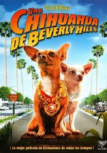 Beverly Hills Chihuahua [Latino]